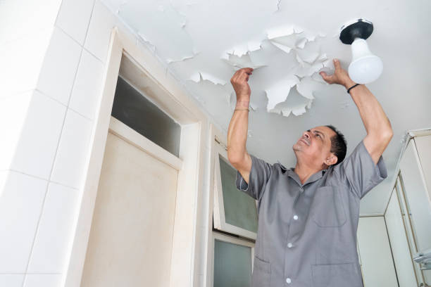 Réparation de murs et plafonds : Comment réparer les fissures et trous dans les murs et les plafonds.