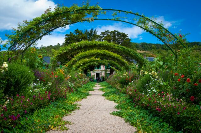 jardin vertical