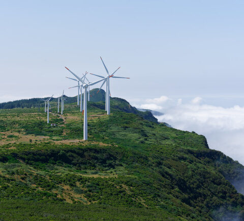 L'énergie éolienne : une solution clé pour réduire les émissions de carbone