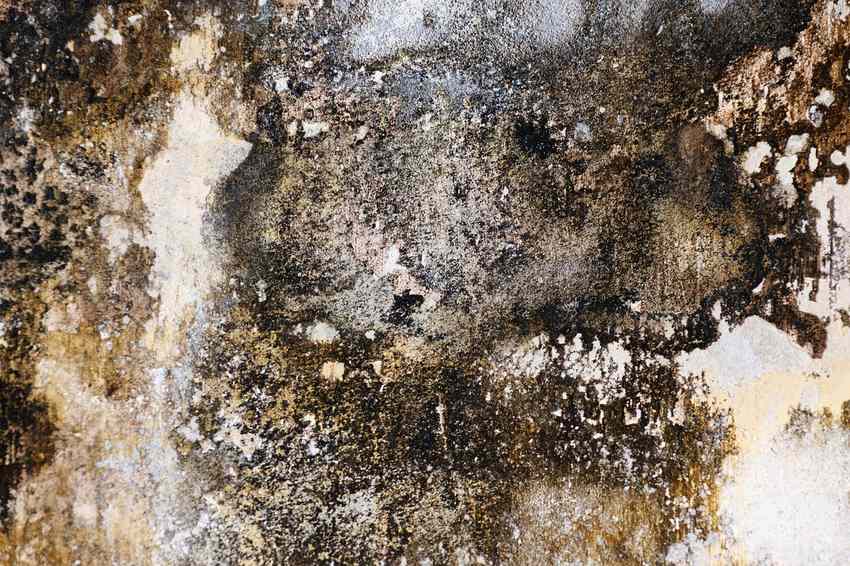 Plafond taché d'humidité avec fissure Plafond taché d'humidité avec fissure