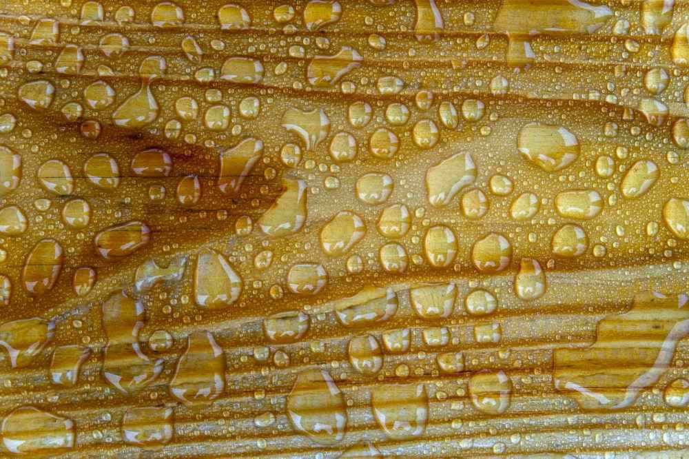 Bois de chauffage empilé et protégé par une bâche imperméable avec condensation