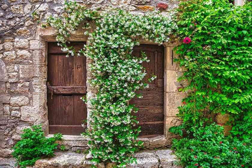 Fenêtre à deux portes dans une maison en pierre entourée de verdure et d'une fleur rouge